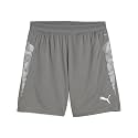 Puma Men Knitted Shorts