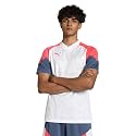 PUMA Men Regular Fit T-Shirt