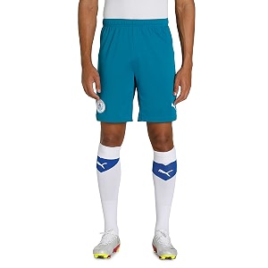 PUMA Men Shorts