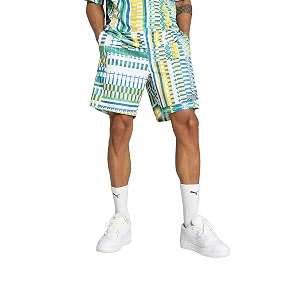 puma men shorts