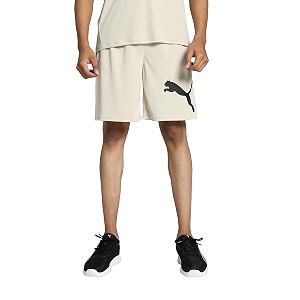 Puma Men Shorts