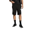 Puma Men Shorts