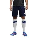 Puma Men Knitted Shorts
