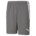 PUMA mens teamLIGA Shorts Grey M-L