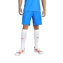 Puma Men Shorts