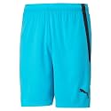 Puma Men Shorts