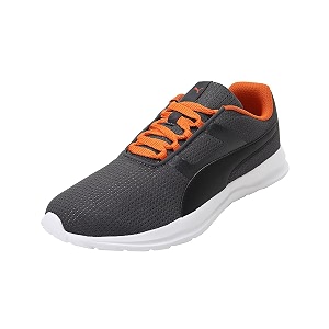Puma Mens Flex Extreme Sneaker