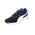 Puma Mens Flex R Dual Running Shoe