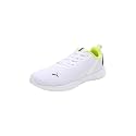 Puma Mens Softride Ecogryph Running Shoe