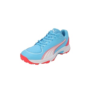 Puma Mens Spike 24.2 Cricket Shoe