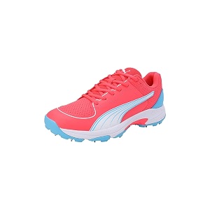 Puma Mens Spike 24.2 Cricket Shoe