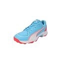 Puma Mens Spike 24.2 Cricket Shoe