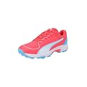 Puma Mens Spike 24.2 Cricket Shoe