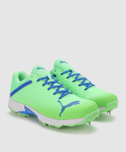 PUMA Spike 22.2 Cricket Shoes For Men