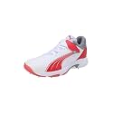 Puma Unisex-Adult Bowling 24.1 Cricket Shoe