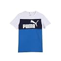 Puma Unisex-Adult Printed Classic Fit Tee