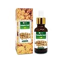 Salvia Pumpkin Seed Oil (Cucurbita pepo) Carrier Oil for Skin, Hair &amp; Massage – Lightweight Botanical Oil for DIY Skincare &amp; Body Care – 30 ml / 1.01 fl oz
