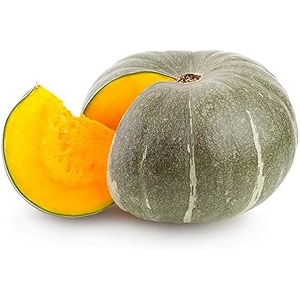 pumpkin seeds for planting terrace garden amp backyard gardening  easy to grow for home kitchen garden pack of 30 seed