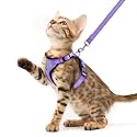 PUPTECK Cat Harness and Leash Set Escape Proof Reflective Cat Walking Harness Adjustable Soft Breathable Mesh Vest for Small Pets, Purple, XS
