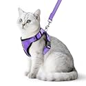 PUPTECK Cat Harness and Leash Set Escape Proof Reflective Cat Walking Harness Adjustable Soft Breathable Mesh Vest for Small Pets, Purple, L