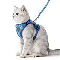 PUPTECK Cat Harness and Leash Set Escape Proof Reflective Cat Walking Harness Adjustable Soft Breathable Mesh Vest for Small Pets, Blue Car, S