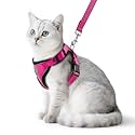 PUPTECK Cat Harness and Leash Set Escape Proof Reflective Cat Walking Harness Adjustable Soft Breathable Mesh Vest for Small Pets, Deep Pink, S