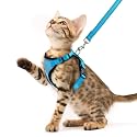 PUPTECK Cat Harness and Leash Set Escape Proof Reflective Cat Walking Harness Adjustable Soft Breathable Mesh Vest for Small Pets, Blue, XS
