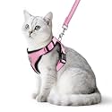 PUPTECK Cat Harness and Leash Set Escape Proof Reflective Cat Walking Harness Adjustable Soft Breathable Mesh Vest for Small Pets, Light Pink, S