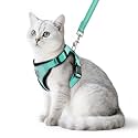 PUPTECK Cat Harness and Leash Set Escape Proof Reflective Cat Walking Harness Adjustable Soft Breathable Mesh Vest for Small Pets, Aquamarine, S
