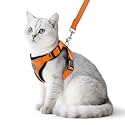 PUPTECK Cat Harness and Leash Set Escape Proof Reflective Cat Walking Harness Adjustable Soft Breathable Mesh Vest for Small Pets, Orange, S