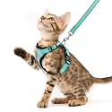 PUPTECK Cat Harness and Leash Set Escape Proof Reflective Cat Walking Harness Adjustable Soft Breathable Mesh Vest for Small Pets, Aquamarine, XS