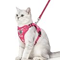 PUPTECK Cat Harness and Leash Set Escape Proof Reflective Cat Walking Harness Adjustable Soft Breathable Mesh Vest for Small Pets, Fuchsia Dasiy, M