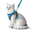 PUPTECK Cat Harness and Leash Set Escape Proof Reflective Cat Walking Harness Adjustable Soft Breathable Mesh Vest for Small Pets, Blue, M