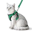 PUPTECK Cat Harness and Leash Set Escape Proof Reflective Cat Walking Harness Adjustable Soft Breathable Mesh Vest for Small Pets, Dark Green, L