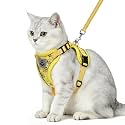 PUPTECK Cat Harness and Leash Set Escape Proof Reflective Cat Walking Harness Adjustable Soft Breathable Mesh Vest for Small Pets, Yellow Bee, S