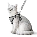 PUPTECK Cat Harness and Leash Set Escape Proof Reflective Cat Walking Harness Adjustable Soft Breathable Mesh Vest for Small Pets, Grey, M