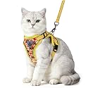 PUPTECK Fall Thanksgiving Cat Harness and Leash Set Escape Proof Reflective Cat Walking Harness Adjustable Soft Breathable Mesh Vest for Small Pets, M