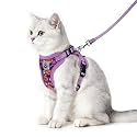 PUPTECK Halloween Cat Harness and Leash Set Escape Proof Reflective Cat Walking Harness Adjustable Soft Breathable Mesh Vest for Small Pets, Purple, M