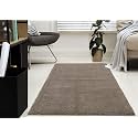 Purav Light 2200 GSM Soft Fluffy Runner