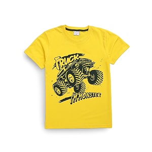 Pure Cotton Summer Tshirts for Boys