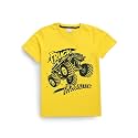 Pure Cotton Summer Tshirts for Boys