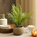 PURE HOME + LIVING | Artificial Fern Planter | Plastic | Green | 33 x 33 x 30 cm | Fake Wire Plant with Plastic Pot | Decorative, Home Décor, Home Office, Gift | Single