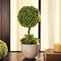 PURE HOME + LIVING | Artificial Planter | Plastic | Green | Small - 14 x 14 x 36 cm | Artificial Planter with Plastic Pot | Decorative, Home Office, Gift | Single