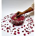 Pure Indian Candle Handmade Sandalwood Amber Fragrance Golden Glitter Tea Light Candle (Pack of 75) PICTL202234