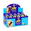 Pure Temptation Chocoblast Chocolate-Filled Waffle Cones [24 Pieces Chocolate Box] Snacks for Kids &amp; Adults - Non-Meltable Gift Pack - Individually Wrapped Chocolate Cone Bites - Joy Vanilla