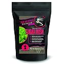 Pure Whitetail Sugar Rush | Select Seed Blends, 5 lb Bag