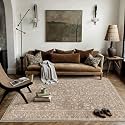 PureCozy 3x5 Deep Brown Area Rug Washable Non Slip Vintage Carpet