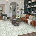 PureCozy 6x9 Green Area Rug Washable Non Slip Vintage Living Room Carpet