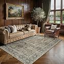 PureCozy 6x9 Washable Area Rug Brown Non Slip Thick Soft Vintage Carpet
