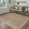 PureCozy Brown Area Rug 5x7 Vintage Retro Distressed